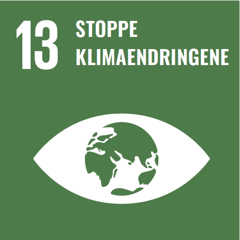 Bærekraftsmål 13 - Stoppe klimatiltakene